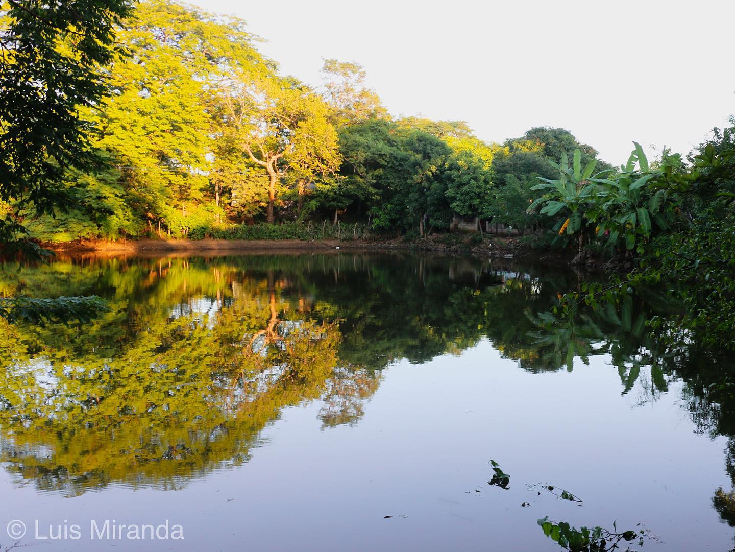 Laguna El Jocotal